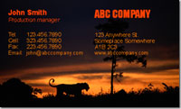 Nature, animals, wild, beasts, lioness, cat, sunset, dusk, 
